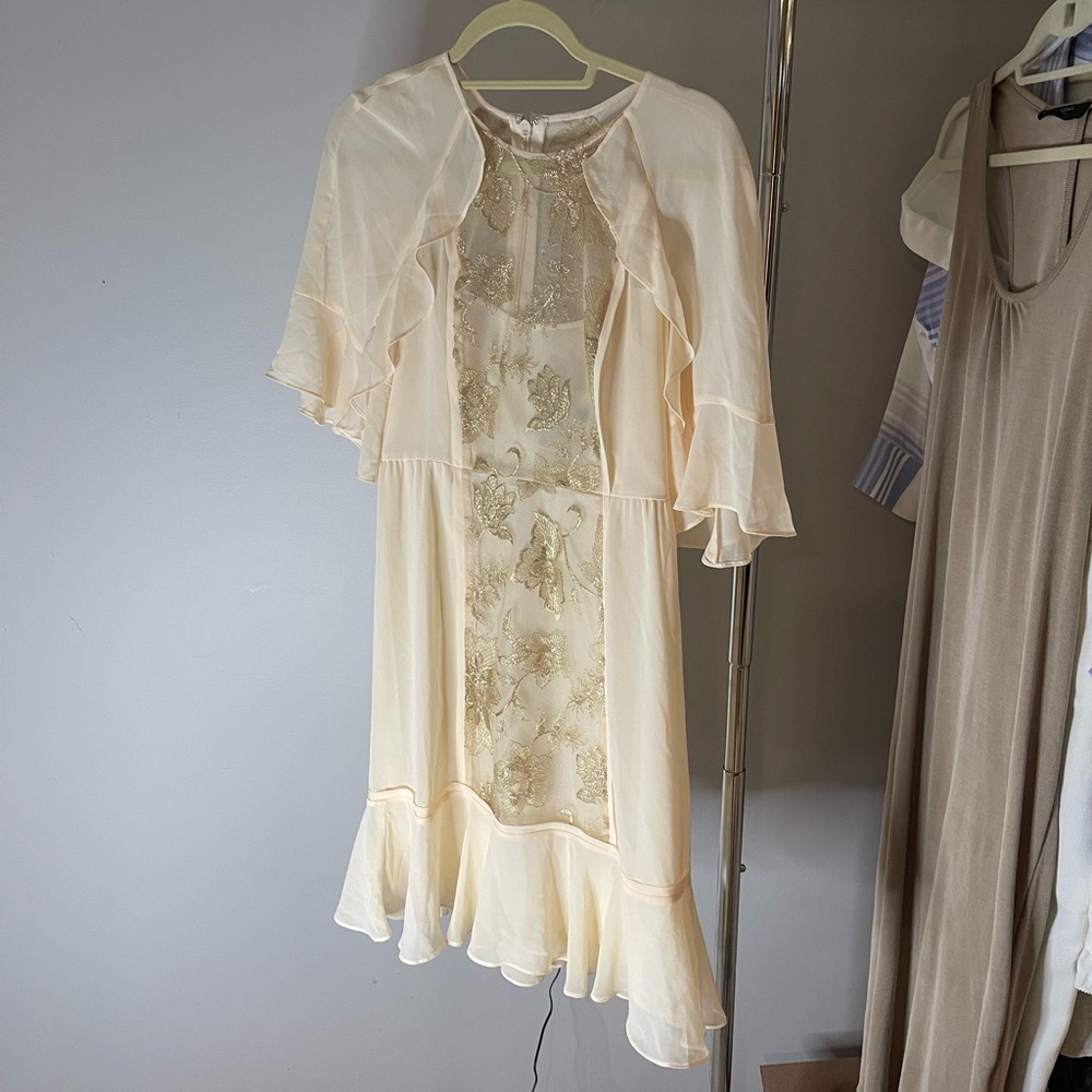 BCBGMaxazaria Size 4 Dress with Gold Embroidery